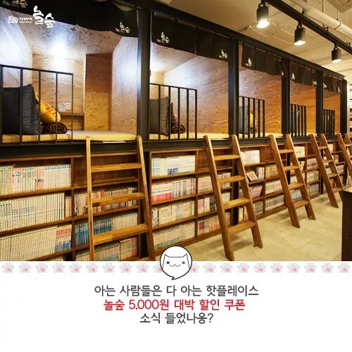 놀숲 이미지