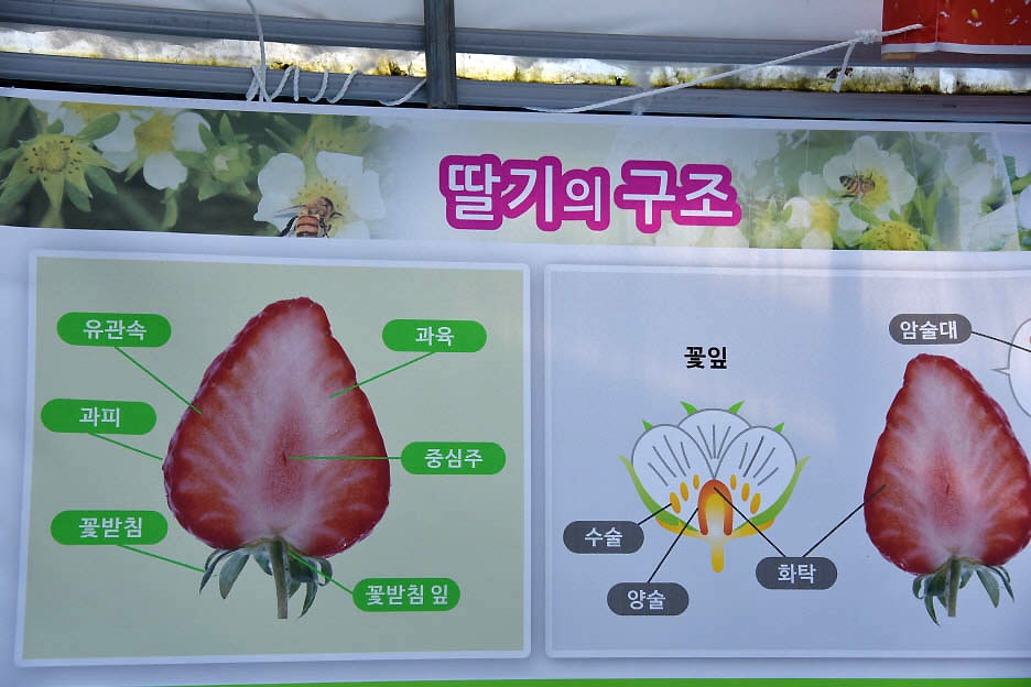 이루리농장 이미지
