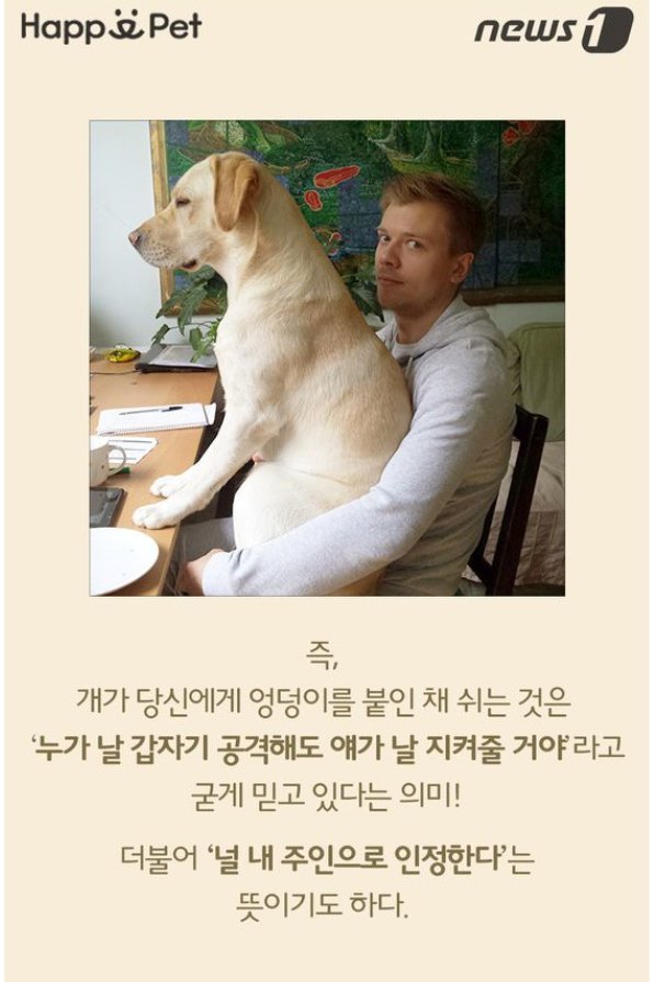 명가반점 이미지