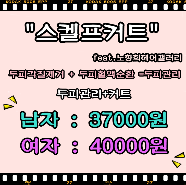 노향희 헤어갤러리 이미지