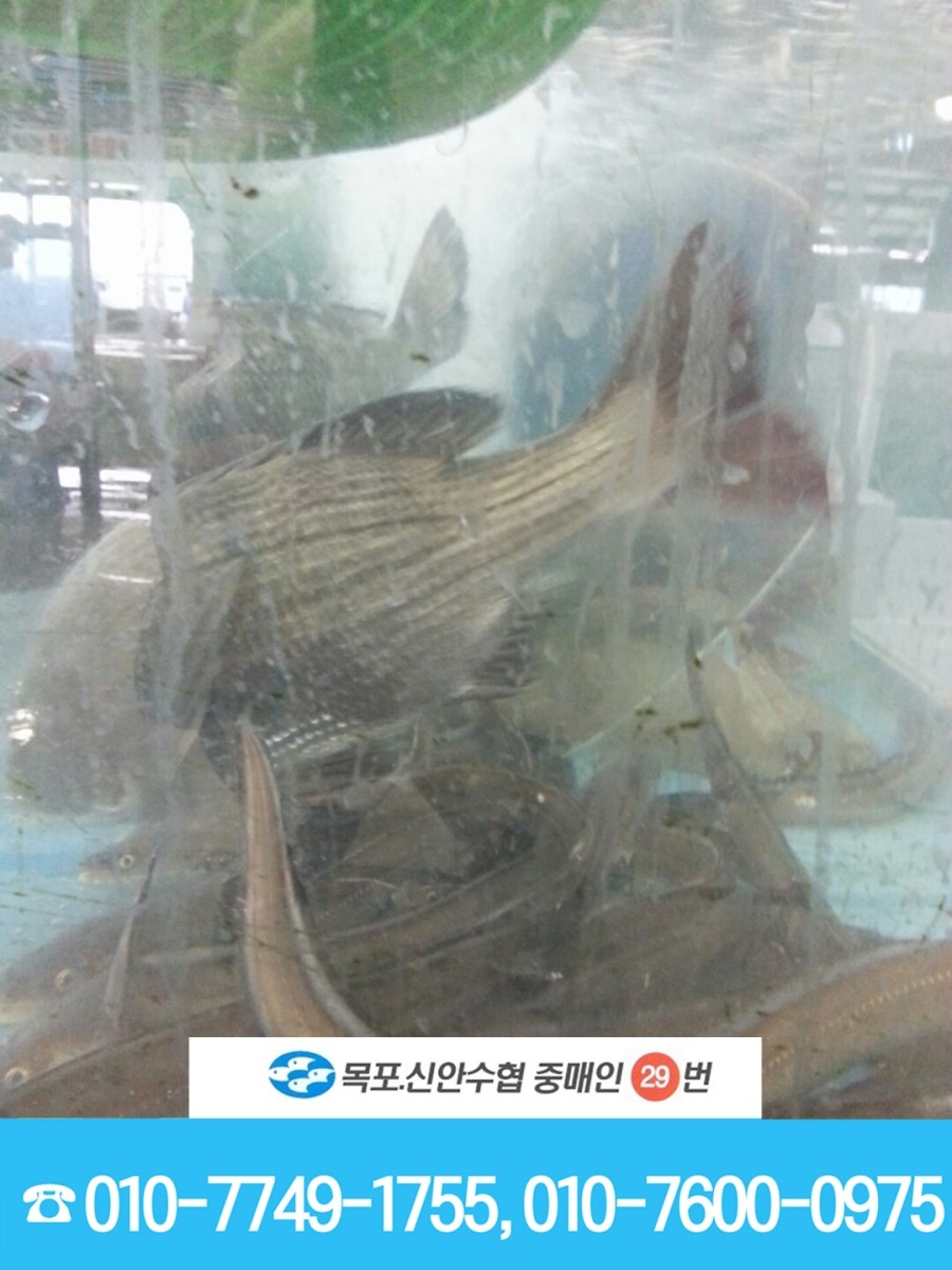 해진수산 이미지