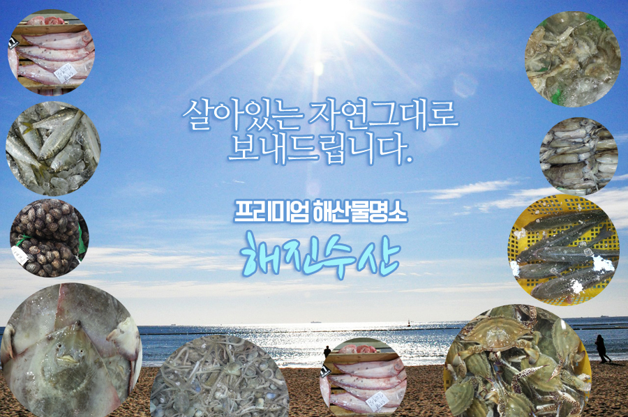 해진수산 이미지