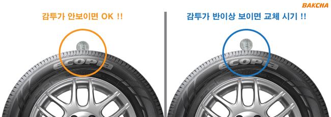 발통천국 이미지