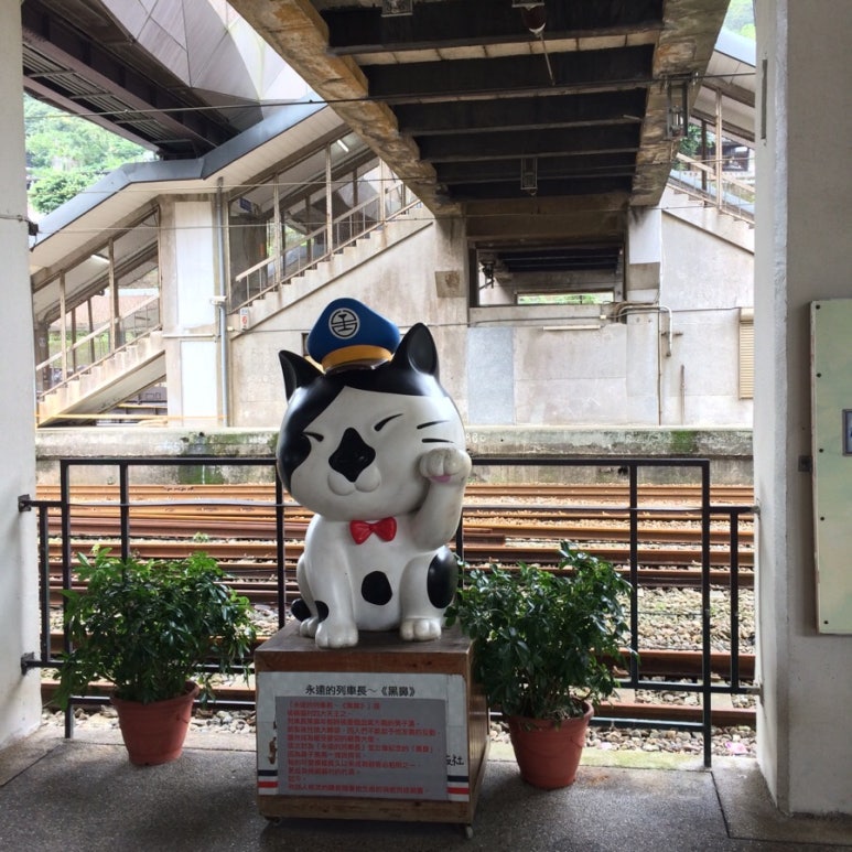 고양이투어 이미지