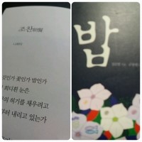 조*찬 이미지