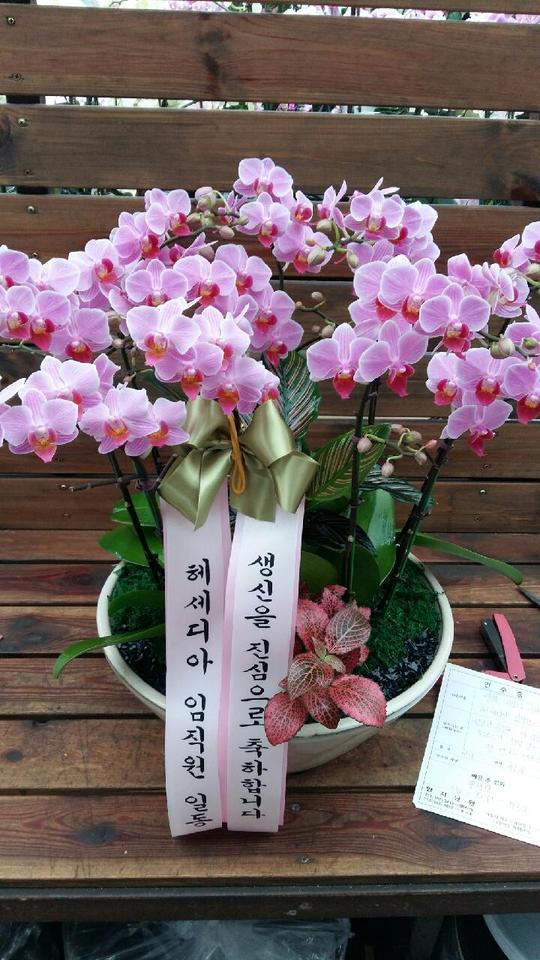 마곡꽃광장 이미지