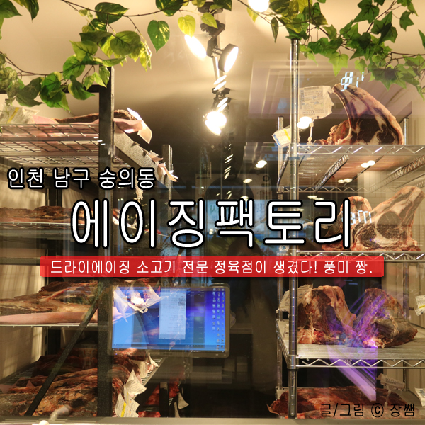 에이징팩토리 이미지