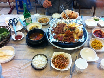 꼬꼬줌마 이미지