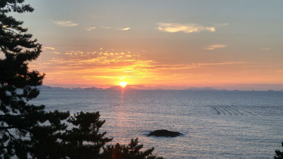 돌산농원 이미지