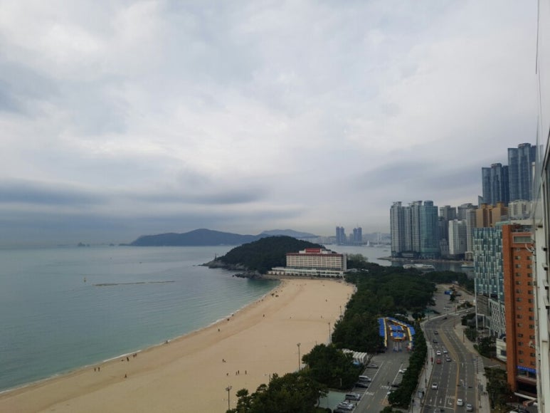 해동횟집 이미지