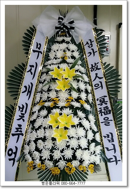 명품더조은 이미지