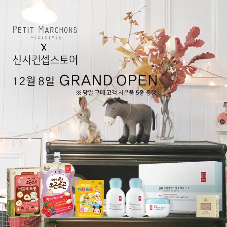 컨셉플레인 이미지