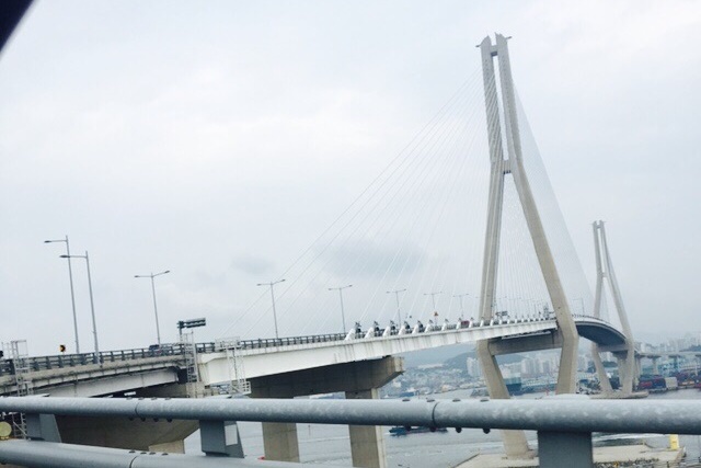 새부산상회 이미지