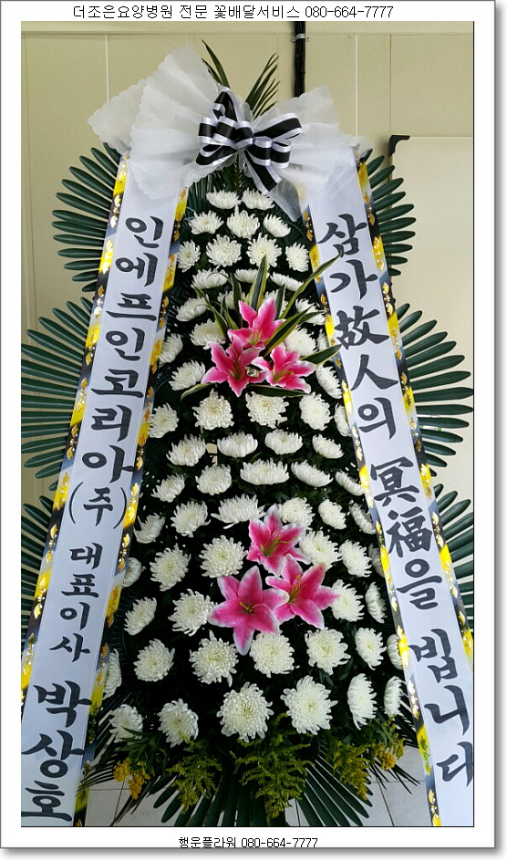 명품더조은 이미지
