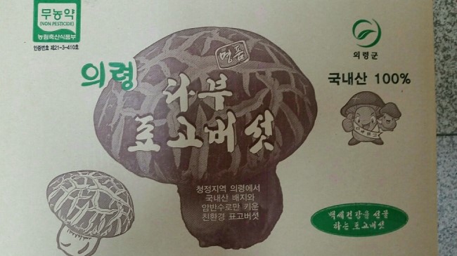다부 이미지