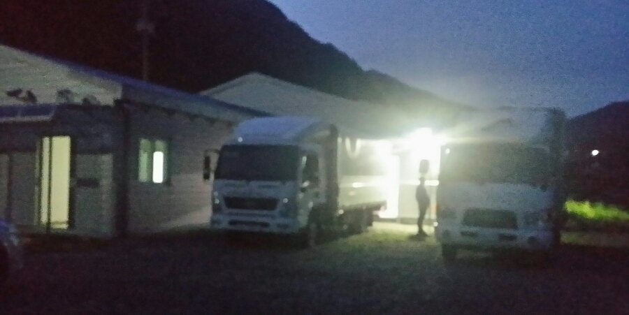 신선채소 이미지