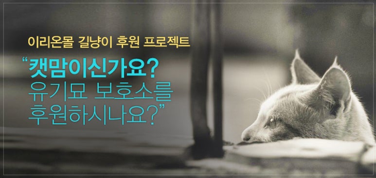 이리온 이미지