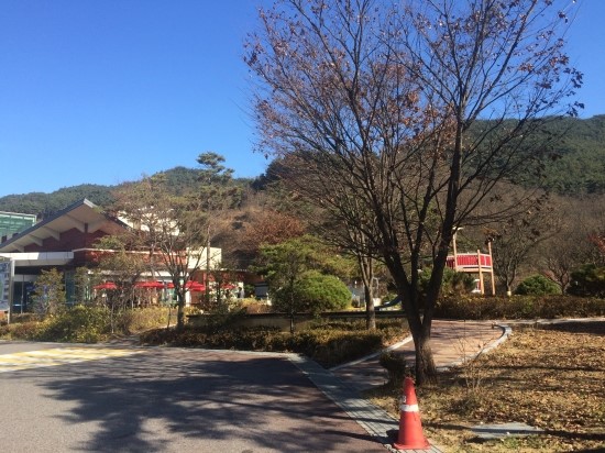 성주군행복장터 이미지