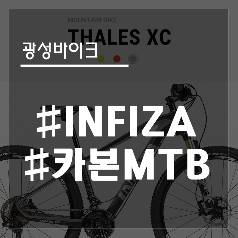 광성바이크 이미지
