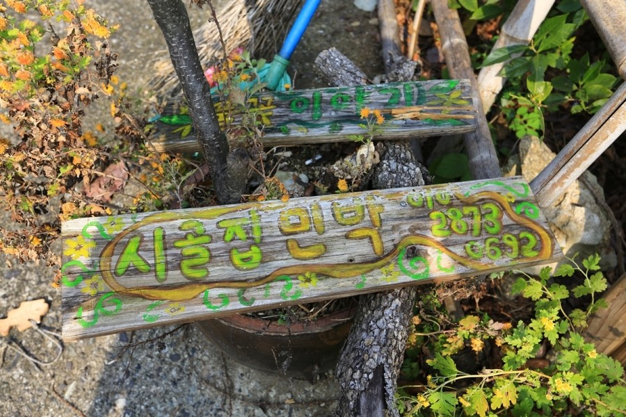 시골집풀꽃이야기 이미지