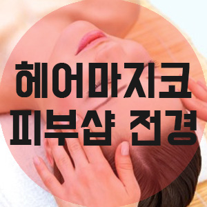 헤어마지코 이미지