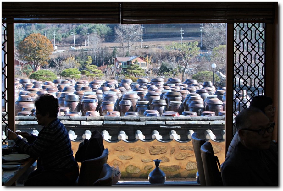 강원나물 이미지