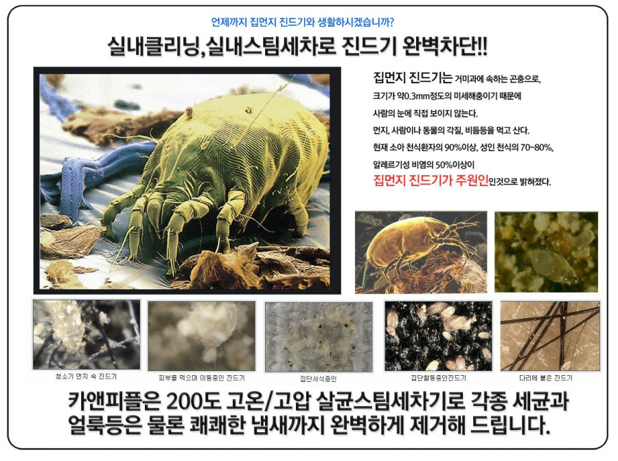 메트로스팀세차 이미지
