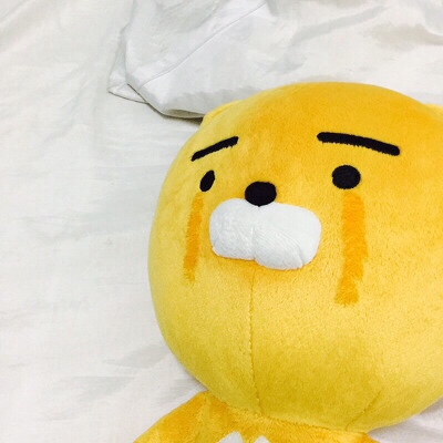 비히클 이미지