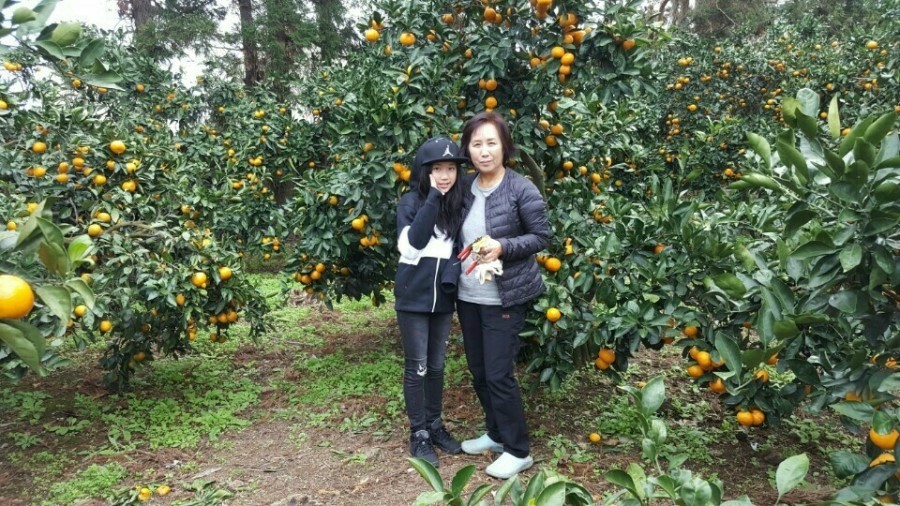 이레농장 이미지