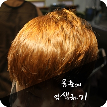 엔헤어 이미지