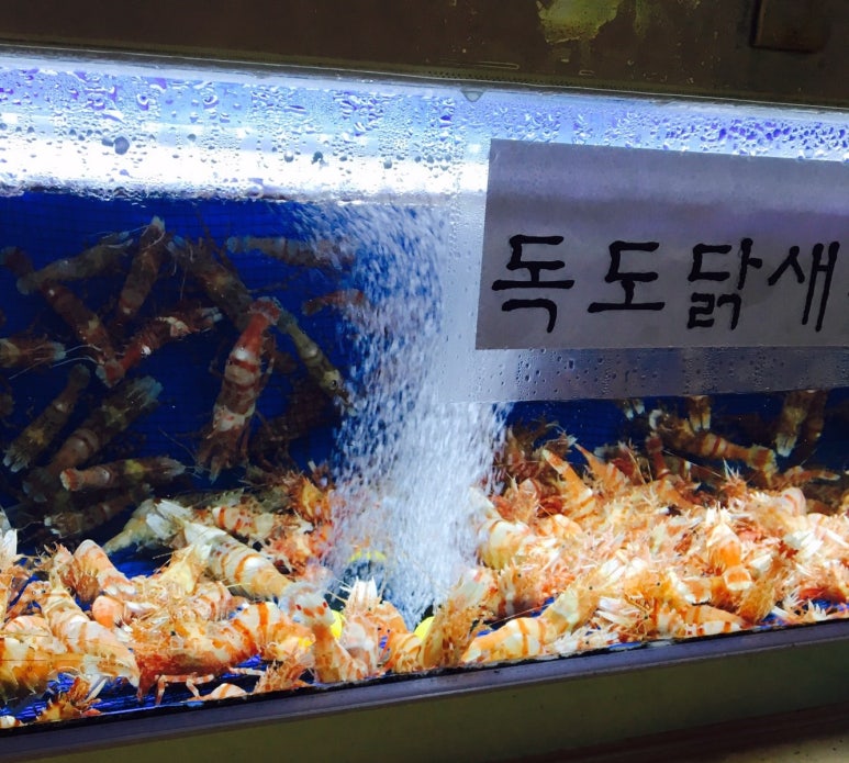 서장대왕새우 이미지