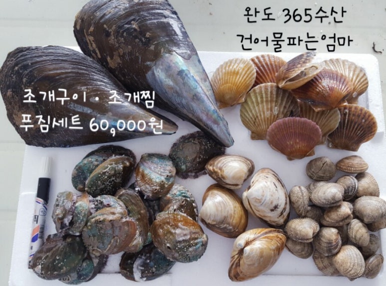 완도수산365 이미지