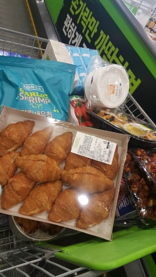 네코청소 이미지