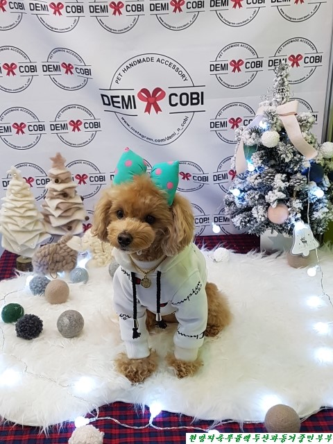 (주)아랑지 이미지