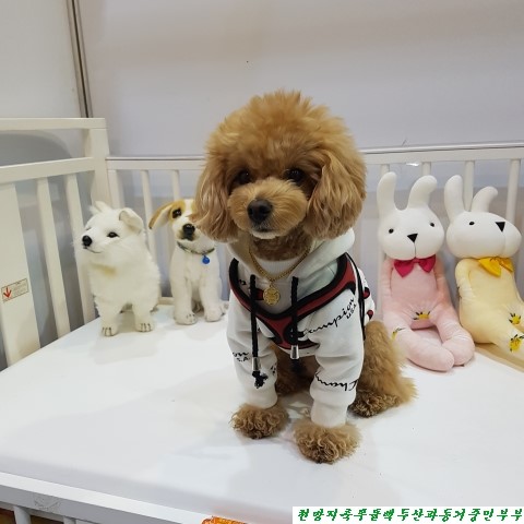 (주)아랑지 이미지