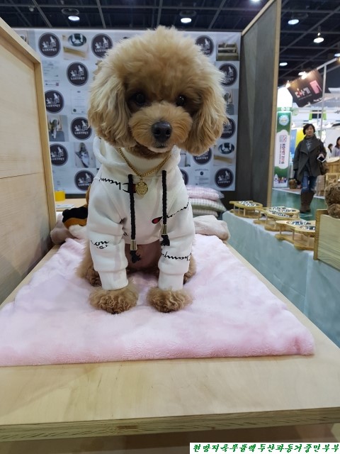(주)아랑지 이미지