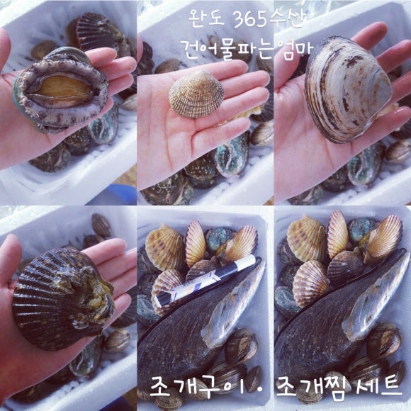 완도수산365 이미지