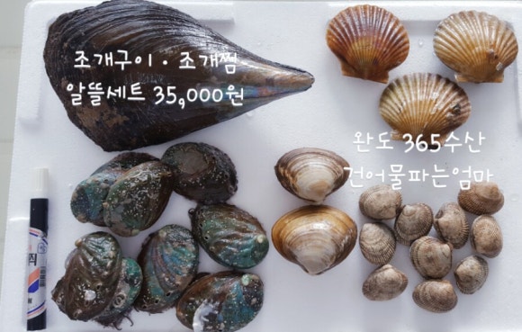 완도수산365 이미지