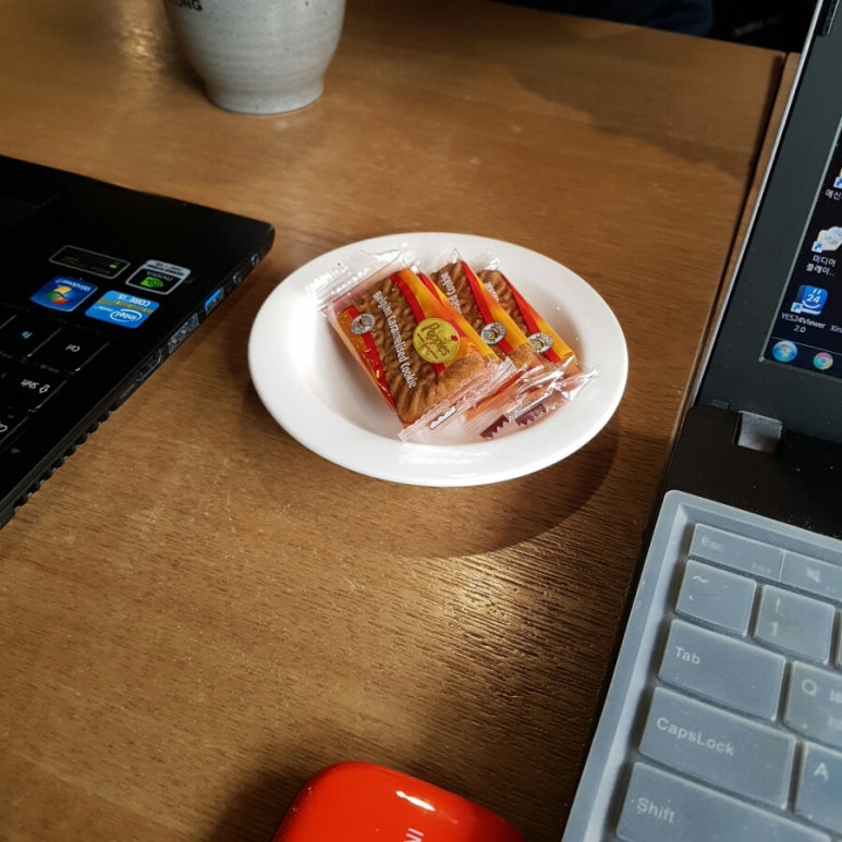 블랙콩 이미지