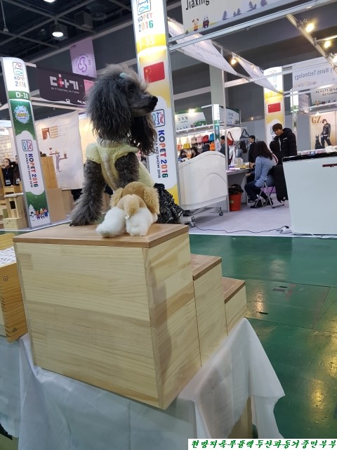 (주)아랑지 이미지
