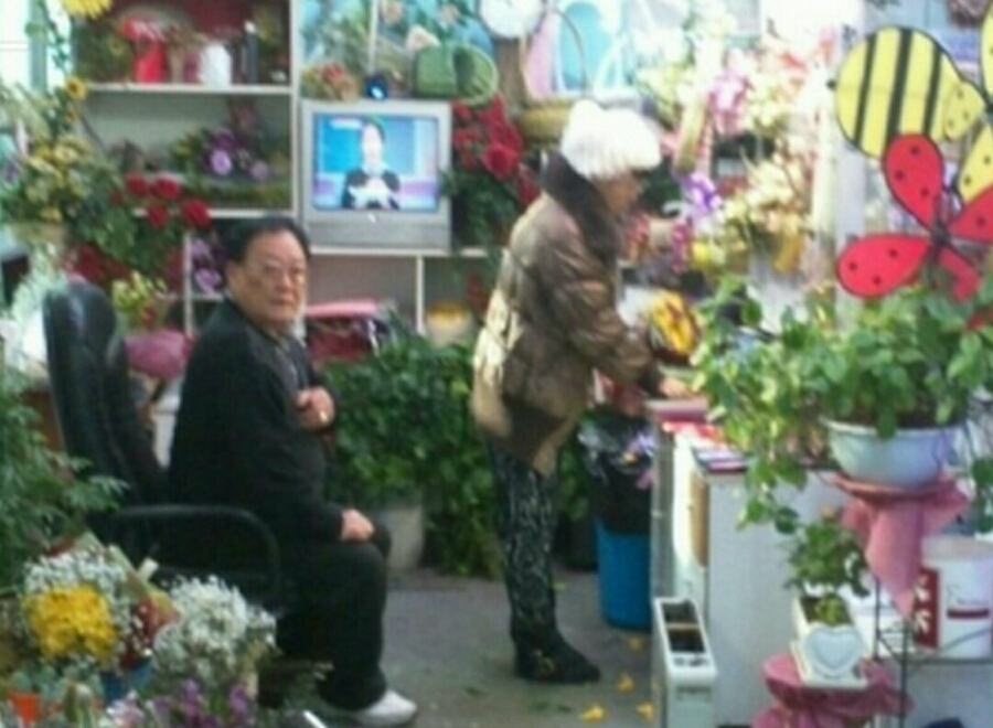 송림화원 이미지