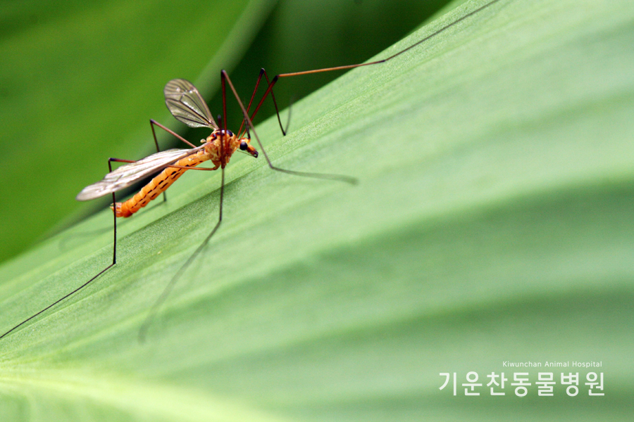 대양유화 이미지