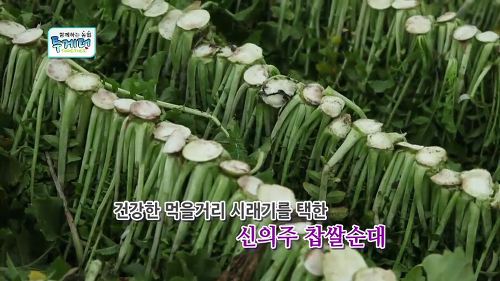 신의주 순대와 쭈꾸미 이미지