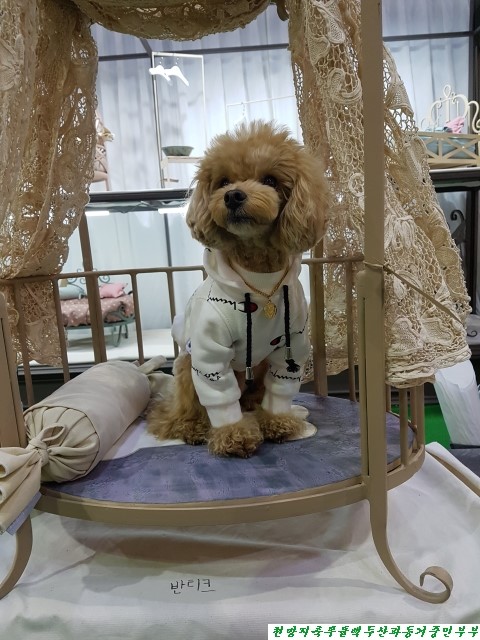 (주)아랑지 이미지
