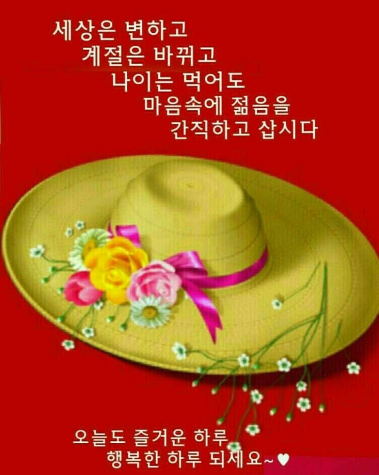 함평나비메주된장 이미지