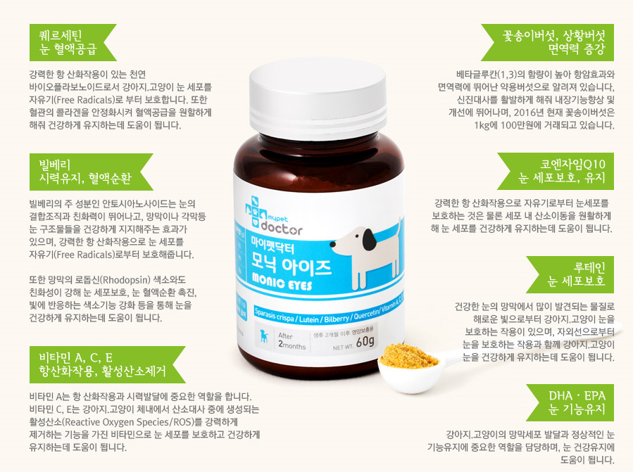 모닉 이미지
