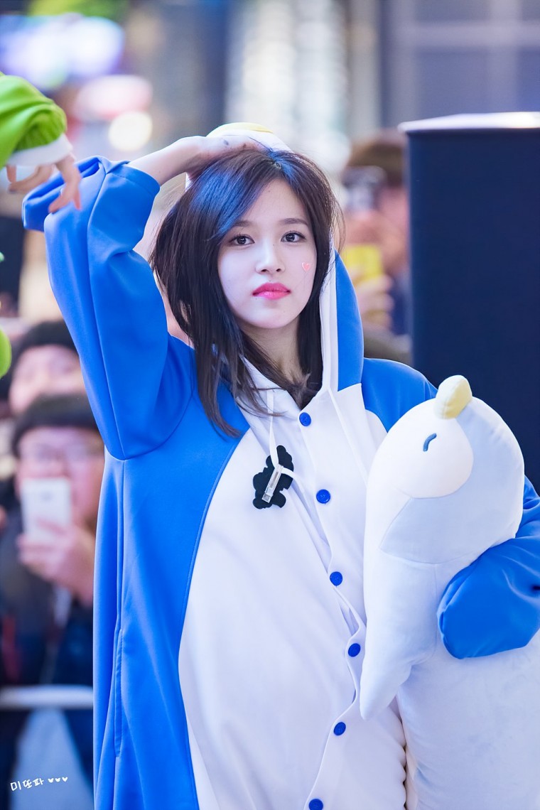 팽미 이미지