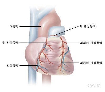 명인약손 이미지