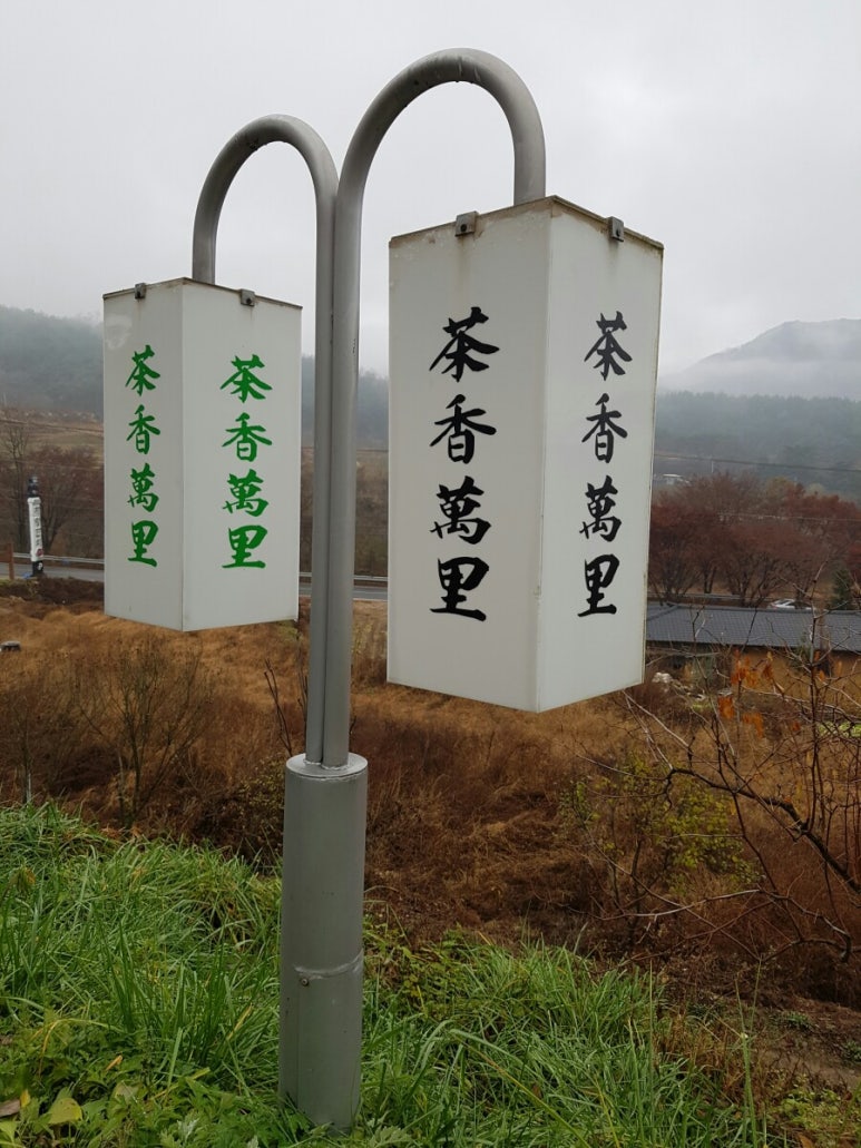 차향만리 이미지