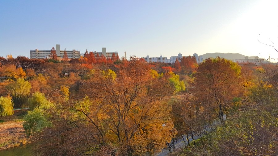 88당구장 이미지